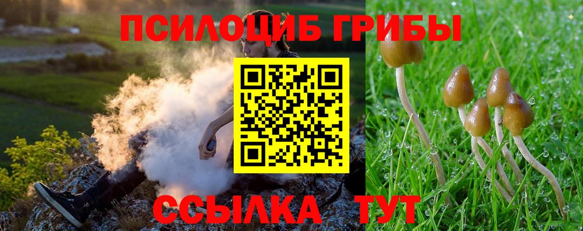 Галлюциногенные грибы GOLDEN TEACHER Кудымкар