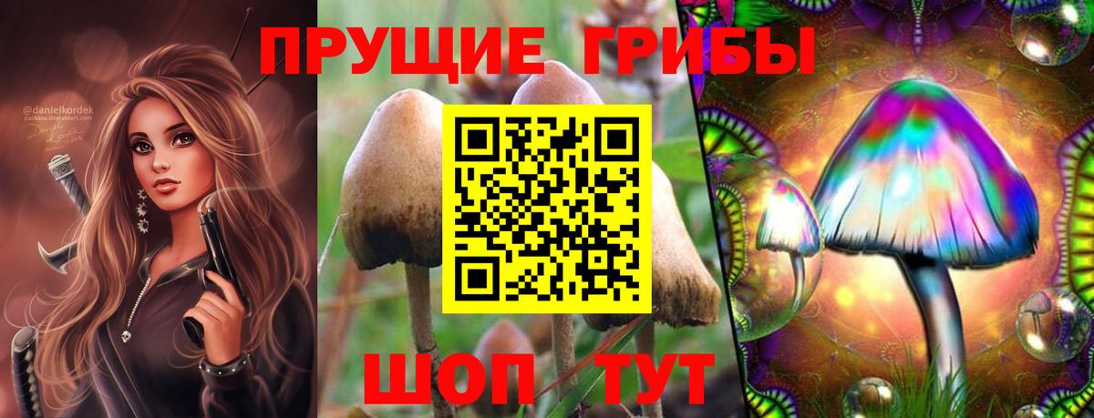Меф мяу мяу Кудымкар